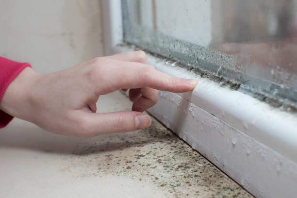 Best HVAC Mold Inspection and Cleaning  in Rossmoor, NJ