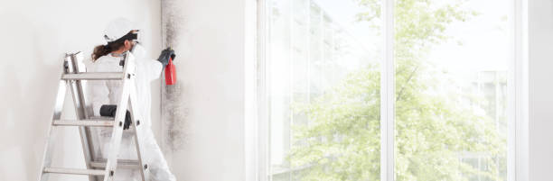 Best Post-Construction Mold Inspection  in Rossmoor, NJ