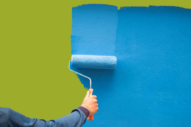 Professional Mold Removal in Rossmoor, NJ